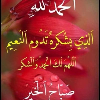 مصطفى الرافي
