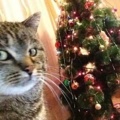 numeroeksi's profile picture. Ακκάου του 2011 There is no gate , no lock ,no bolt that you can set upon the freedom of my mind. 👩🏼