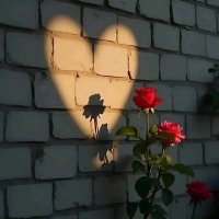 Sara (@saraa26a) 's Twitter Profile