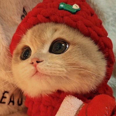 afternowiyoo's profile picture. 