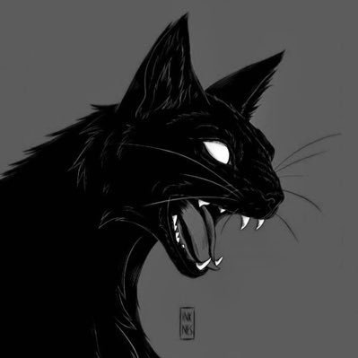 iad_sz's profile picture. winner.