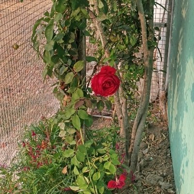 Vijaytr68710173's profile picture. #Nation is my priority 
  जय श्री राम
 #अभ्यर्थी_शिक्षक_भर्ती