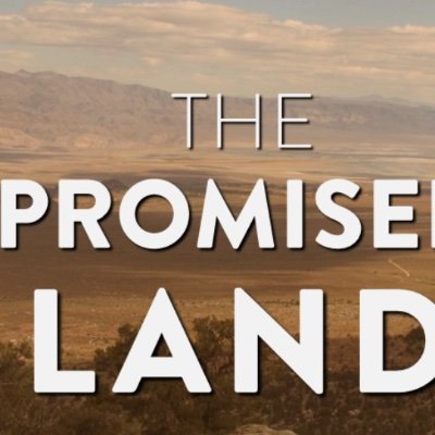 MohaUnit's profile picture. 