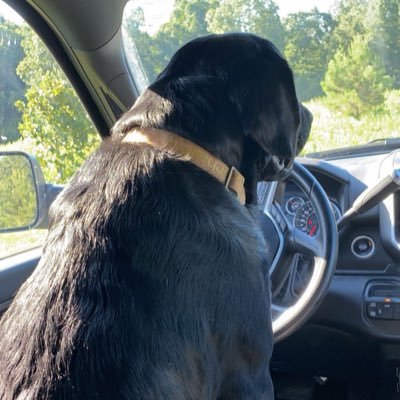 baileybanksy6's profile picture. 