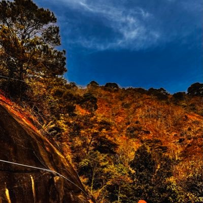 Oge21951000's profile picture. 