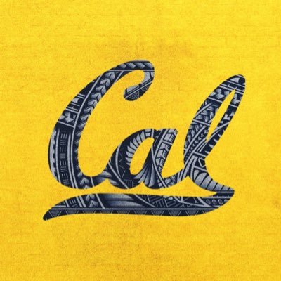 RollBear00's profile picture. 