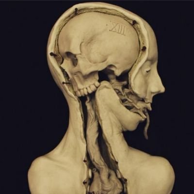 berbew_'s profile picture. Indie game dev on Godot.
Movie nerd & STEM Student.🎞️ 
Call me Berbew.✌️