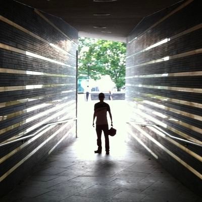 davesongnyc's profile picture. #Bitcoin