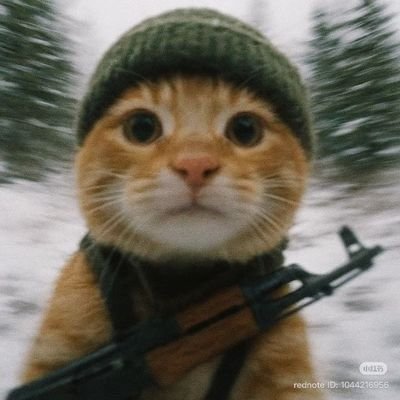 JohanAyanokoji's profile picture. 