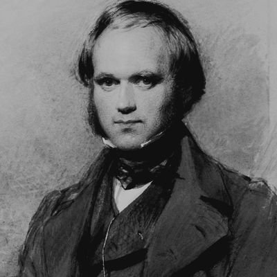 PygmaeusLft's profile picture. Socialista democrático. Argentino.