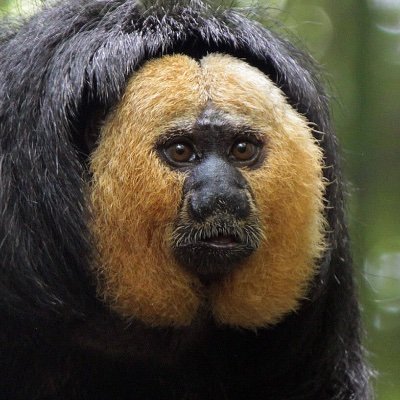 a_space_person's profile picture. i like dust. astronomer. 28.