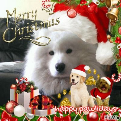 soggycat64's profile picture. 🐌🐜🐕‍🦺 #killallmirrorportalhaters

(feel free to req even if i dont fb ill prob still accept)