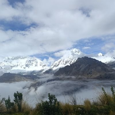 PoloAyala2907's profile picture. 