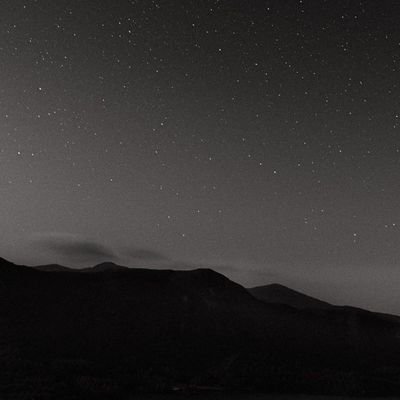 zobibaluch's profile picture. -🍂