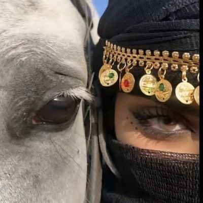 dlllzhrny712382's profile picture. 