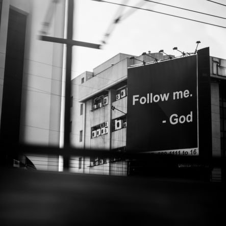 thesegunadeleke's profile picture. ~ growing