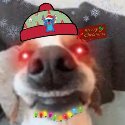 michiganstan25's profile picture. Michigander | Architecture Student | Urbanist | 🇺🇸