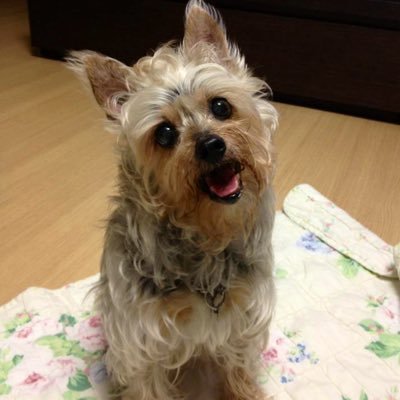 jjeandol's profile picture. 룰루랄라