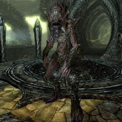 lucasy7t6's profile picture. 