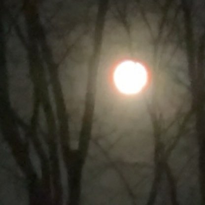 Lawrencethxxqr's profile picture. 