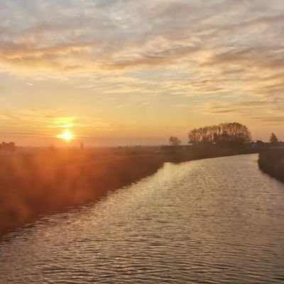 safyan_m59759's profile picture. Zetarium
Mindfulness practitioner & chai latte enthusiast. Finding peace in chaos.