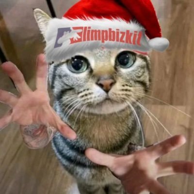 Dvorak3286's profile picture. mixed(half cracker half African American) 19, nb, mostly just repost stuff but occasionally talk about cars, movies and music