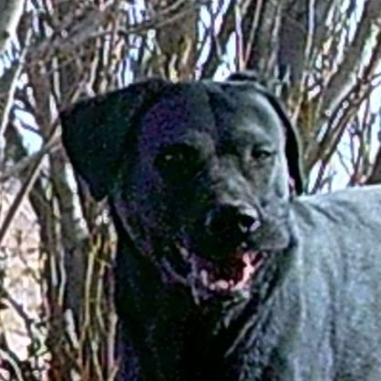 JerS1966598's profile picture. 