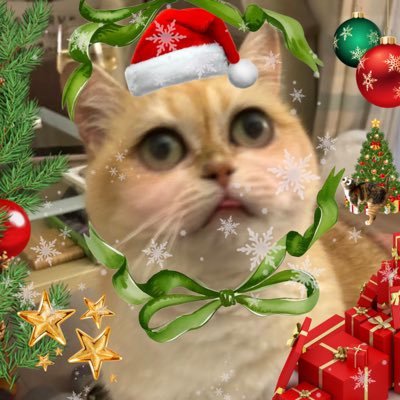 jemima 🤍 oreo & walter Profile