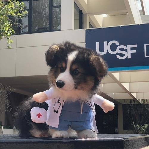 Pintu08696583's profile picture. Anyone else love spicy tacos?