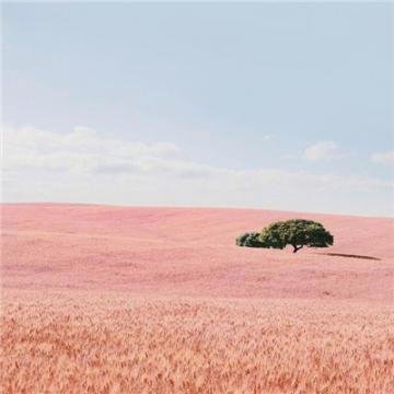 jagan_eswaran's profile picture. Listened to taiga taiga taunts, wolves wailing wild – boreal bays, howls haunting.