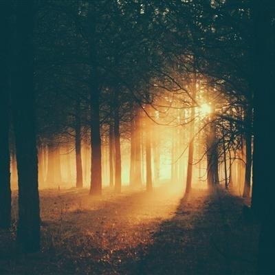 priyame23914224's profile picture. The scent of fresh laundry mixed with lavender sheets—simple luxury after a marathon cleaning day.