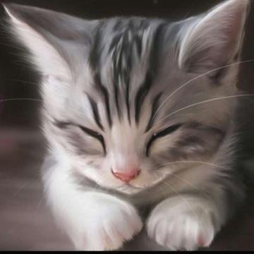 Anirban83834712's profile picture. Ferris wheel thrills