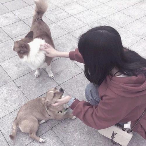PurshothRoman's profile picture. Visited tundra tundras, permas frozen firm. Lichens layered, winds wailing.