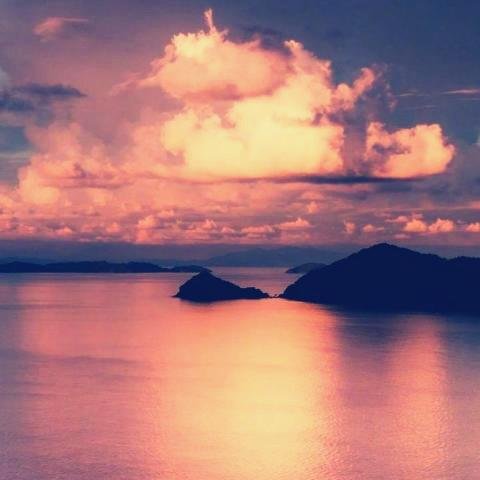 Jagdish18571103's profile picture. Bat wings