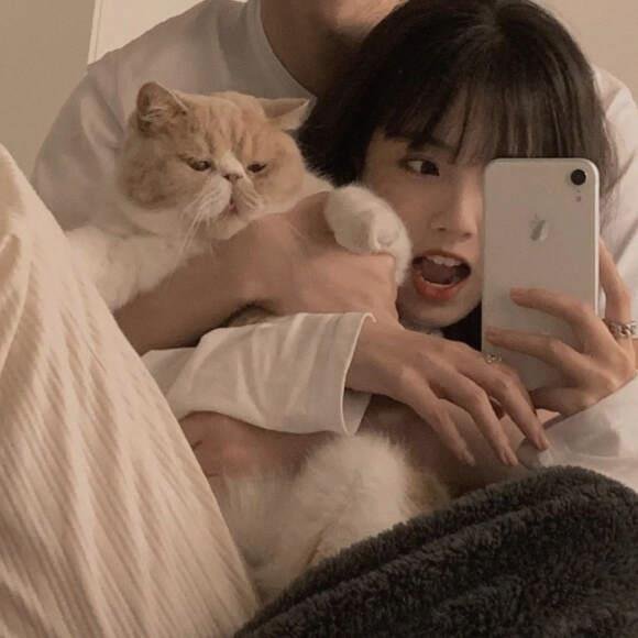 c24dcddd8a404e4's profile picture. Board game win streak