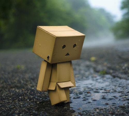 Sriniva65566048's profile picture. Attended a harvest moon rise, oranges orbing orange – lunar ladders, fields flooded.