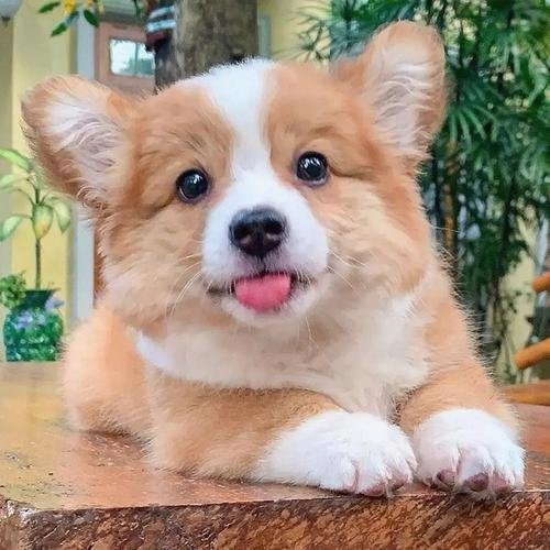 Pratabravi's profile picture. Tried freudian fathoms free, ids idling inner – couch confessions, slips slipped.