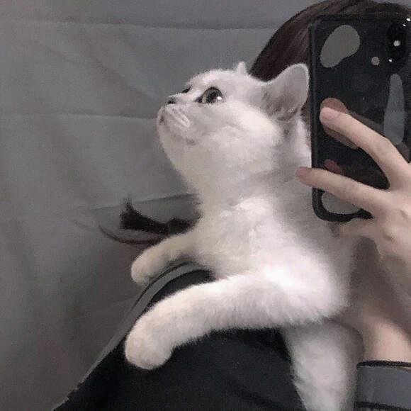 Shariqu44024920's profile picture. Stars are poetry in the sky