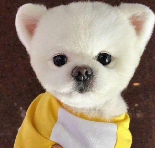 Jagdish68825424's profile picture. Chain reply epic