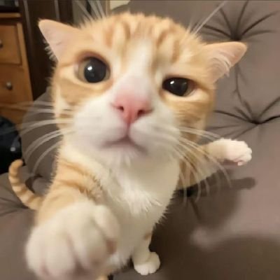 05Maslamah52600's profile picture. 