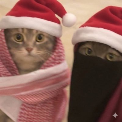 wen_tge0's profile picture. wen ?