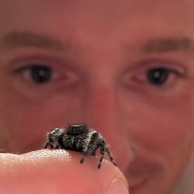 Tbone40k's profile picture. cultivating mass and weird thoughts.