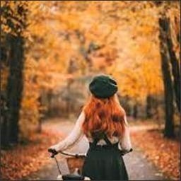 HLindgren91758's profile picture. Gods determine what you're going to be。