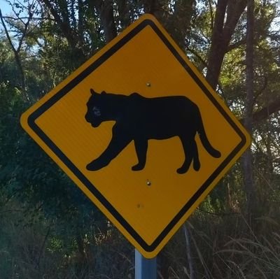 T_Agu1lar's profile picture. Soy Tadeo Aguilar, estudiante de Biología en la UNC 🇦🇷
                                                                               🪲🌿🪶🐾