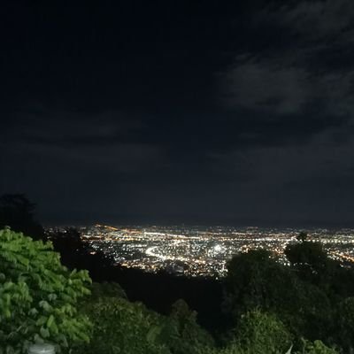 tnn_tnt's profile picture. 