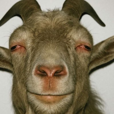 KASUALKAS's profile picture. How you know Kas ?