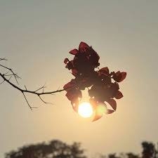 reed0_poll0512's profile picture. 