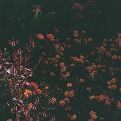 _kageyasu's profile picture. 読書🤏と生活🏠穏やかな暮らし、美しい生活、清き一票を推進しています。比較的滅入ってます。結果が出なくても少しだけ前に進みたい。