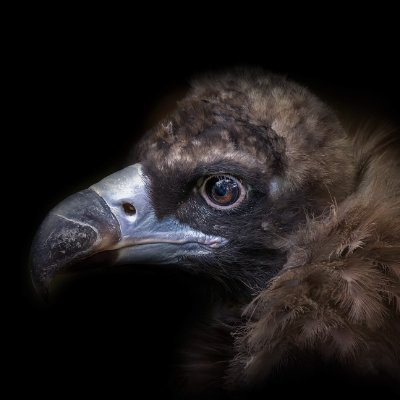 Max38486481Max's profile picture. Web Developer | Building modern templates & tools with Next.js, React & Tailwind CSS | Sharing daily projects & tips