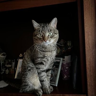 D4q1y3JE8XexkOf's profile picture. 